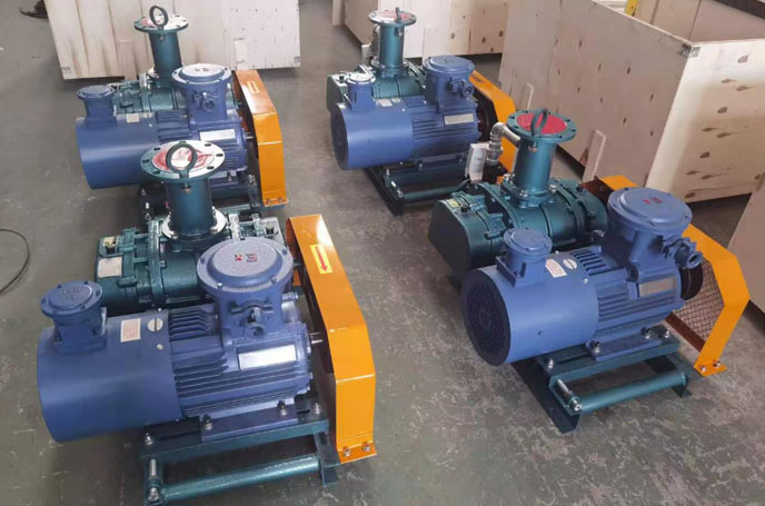 沼氣輸送羅茨風機 化工行業(yè)用羅茨風機沼氣輸送案例(圖2)